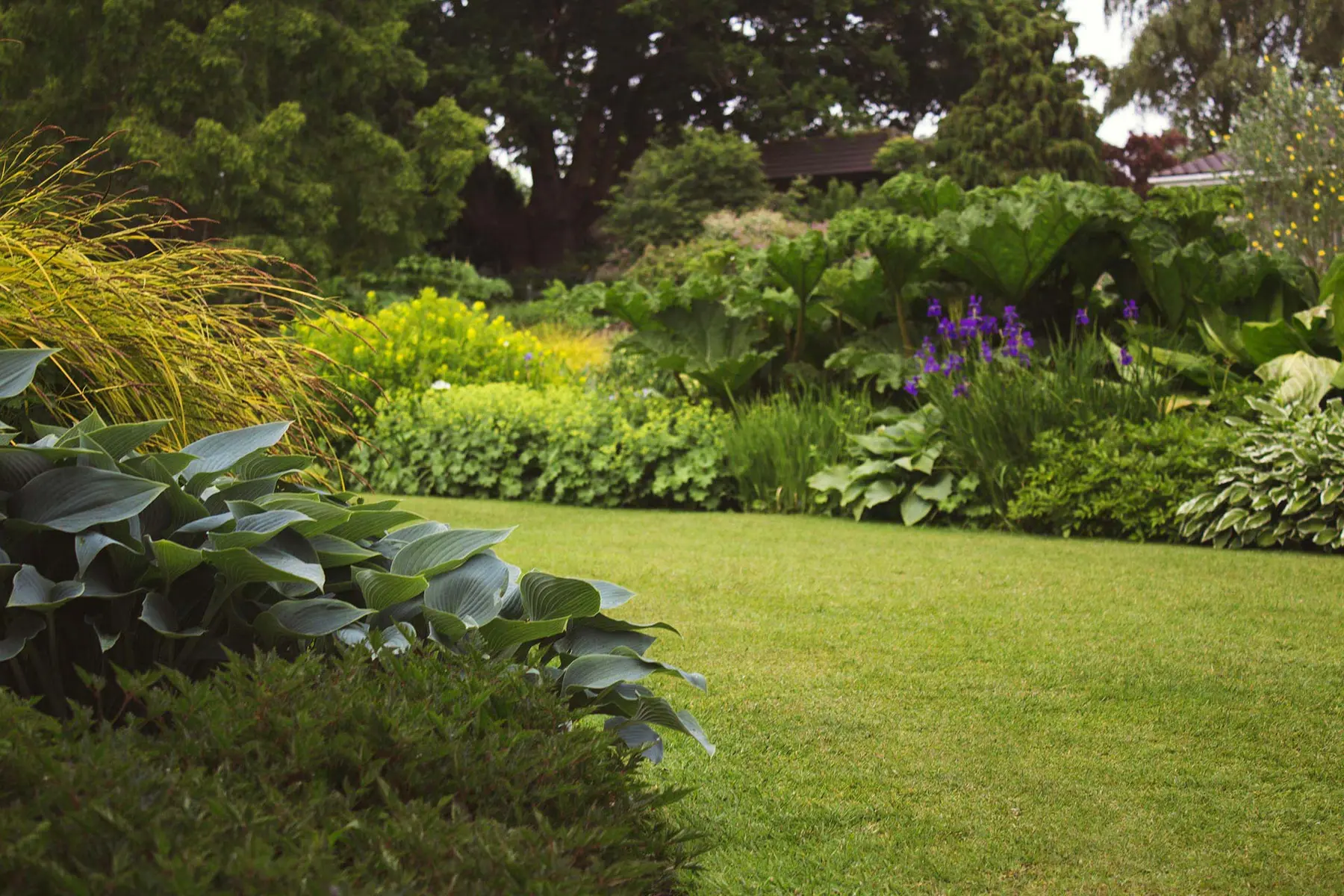 Mown lawn bordered by layered shrub and perennial beds
